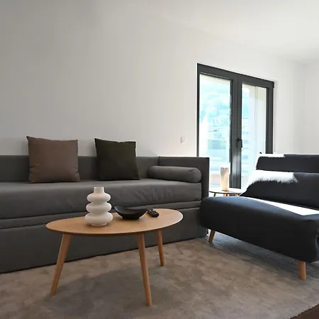 Lugano Modern Concept 3 Apartment Viganello